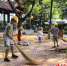 小志愿者们拿起扫帚对辖区卫生死角进行清扫。仁寿融媒供图 - Sc.Chinanews.Com.Cn
