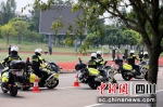 成都公安特警支队全力投入夏季治安打击整治“百日行动” - Sc.Chinanews.Com.Cn