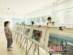 图为摄影展现场。成都高新区供图 - Sc.Chinanews.Com.Cn
