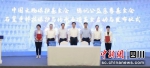 发布仪式现场。（主办方供图） - Sc.Chinanews.Com.Cn