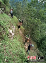 当地群众冒着危险攀爬近70度的陡坡，把机械背上山垦荒。 - Sc.Chinanews.Com.Cn