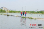 供电所志愿者在鱼塘了解用电需求等。李红燕摄 - Sc.Chinanews.Com.Cn