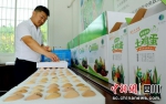 农产品通过电商销售。潘建勇摄 - Sc.Chinanews.Com.Cn