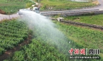 洒水车送水灌溉(富顺融媒 供图) - Sc.Chinanews.Com.Cn