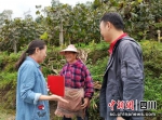 人保寿险工作人员与农户在交流。人保寿险乐山中支 供图 - Sc.Chinanews.Com.Cn