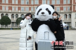 学生与“大熊猫”合影。 作者 毛成山 - Sc.Chinanews.Com.Cn