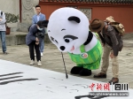 “安逸”熊猫闪现阆中古城。(唐倩 摄) - Sc.Chinanews.Com.Cn