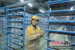 四川泸州：纺织车间生产忙 - Sc.Chinanews.Com.Cn