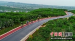 最美的乡村公路吸引骑行爱好者。罗俊涵摄 - Sc.Chinanews.Com.Cn