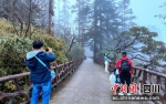 原始森林里薄雾缭绕，吸引游客拍摄留念。李霞摄 - Sc.Chinanews.Com.Cn