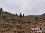 村民在山坡上补播种草。壤塘县委宣传部供图 - Sc.Chinanews.Com.Cn