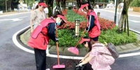 志愿者们正在亲扫道路，开展环境整治工作。洪雅融媒体中心供图 - Sc.Chinanews.Com.Cn