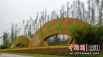 以竹打造的城市公园。眉山市委宣传部供图 - Sc.Chinanews.Com.Cn