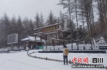 广元曾家山持续降雪 彩林披银装成梦幻世界 - Sc.Chinanews.Com.Cn