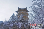 广元曾家山持续降雪 彩林披银装成梦幻世界 - Sc.Chinanews.Com.Cn