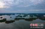 美丽的三岔湖森林岛屿。付丰杰 摄 - Sc.Chinanews.Com.Cn