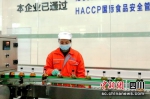 自动化生产线。李佰梅摄 - Sc.Chinanews.Com.Cn