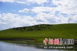 “地球之肾”若尔盖湿地。 - Sc.Chinanews.Com.Cn