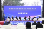 四川新闻网丨2022年遇见巴蜀·国际融合采洽会在成都正式启幕 - 中国国际贸易促进委员会