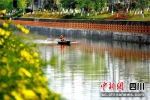 芦溪河前锋区城区段水清岸绿。王林 - Sc.Chinanews.Com.Cn