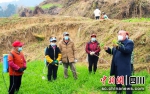 母海山给村民们讲解小麦安全越冬知识和窍门。李霞 摄 - Sc.Chinanews.Com.Cn