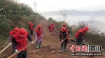 工作现场。西充县委宣传部供图 - Sc.Chinanews.Com.Cn