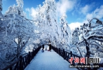 大雪后的瓦屋山景区。张献涛摄 - Sc.Chinanews.Com.Cn