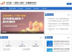 青羊区“三服务三提升”企业服务平台。青羊融媒 供图 - Sc.Chinanews.Com.Cn