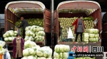 一批新鲜蔬菜运抵市场。成都海吉星供图 - Sc.Chinanews.Com.Cn