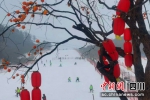 在曾家山滑雪场举行群众冰雪运动培训活动。 - Sc.Chinanews.Com.Cn