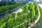 整治后的河岸更加美化绿化。 绵阳高新区党群部供图 - Sc.Chinanews.Com.Cn
