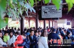 碧峰峡景区游人如织。雅安文旅 供图 - Sc.Chinanews.Com.Cn