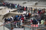 游客在金沙遗迹馆有序参观。青羊区委宣传部 供图 - Sc.Chinanews.Com.Cn