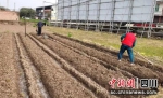春耕备耕。雨城区农业农村局 供图 - Sc.Chinanews.Com.Cn