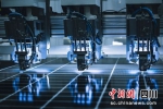通威高效组件智能制造生产线。(通威集团供图) - Sc.Chinanews.Com.Cn