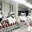 工作人员正忙着产品质检、防伪贴标。 绵竹市委宣传部供图 - Sc.Chinanews.Com.Cn