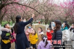 工作人员正在给小朋友们介绍梅花品种。刘忠俊摄 - Sc.Chinanews.Com.Cn