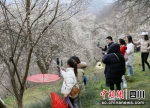 游客在印象梅林景区拍照打卡。 胡宇 摄 - Sc.Chinanews.Com.Cn