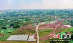 花椒大豆现代农业园。沿滩融媒 供图 - Sc.Chinanews.Com.Cn