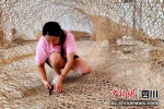竹产业带动当地村民创业就业。王丽摄 - Sc.Chinanews.Com.Cn