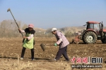 盐源县当地村民正在耕作。王磊 摄 - Sc.Chinanews.Com.Cn