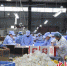 在四川迪怩司食品有限公司生产车间里，工人忙着打包装箱。 罗江区委宣传部供图 - Sc.Chinanews.Com.Cn