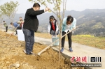 正在植树现场。何源 摄 - Sc.Chinanews.Com.Cn