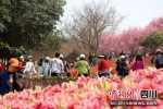 市民游客在成都植物园踏春赏花。 - Sc.Chinanews.Com.Cn