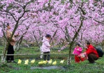 游客在产业园里赏花游玩。汪泽民 摄 - Sc.Chinanews.Com.Cn