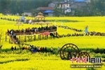 安州乡村美景。（安州区文化广播电视和旅游局 供图） - Sc.Chinanews.Com.Cn