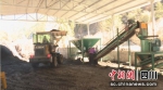 在有机肥加工厂里忙碌的工人。 - Sc.Chinanews.Com.Cn