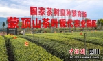 蒙顶山茶叶现代农业园区。名山融媒 供图 - Sc.Chinanews.Com.Cn