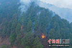 森林火灾。（资料图）刘忠俊摄 - Sc.Chinanews.Com.Cn