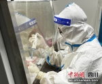 2023年，色达县人民医院结核分枝杆菌培养实现了零的突破。（资料图）成都市第五人民医院供图 - Sc.Chinanews.Com.Cn